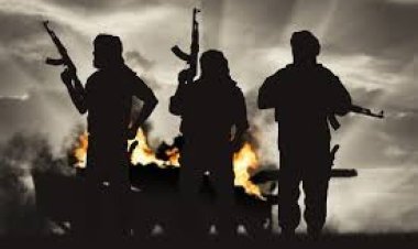 ગણેશ વિસર્જન પર મુંબઈમાં મોટા હુમલાની ધમકી : પાકિસ્તાનથી ૪૦૦ કિલો RDX સાથે ૧૪ આંતકવાદીઓ ઘૂસ્યા