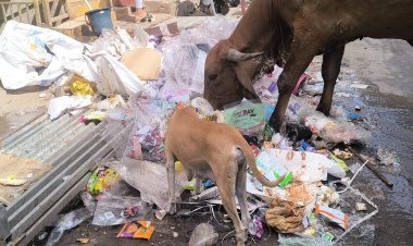 પહેલા ખાડાગઢ અને હવે બન્યું જૂનાગઢ કચરાગઢ!