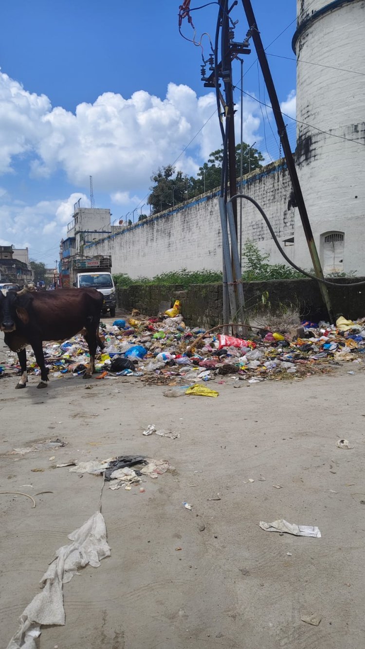 સફાઈ કર્મચારીઓની હડતાળને પગલે જૂનાગઢ  ગંદકીનગરમાં ફેરવાયું  ઠેર ઠેર કચરાના ગંજ ખડકાયા