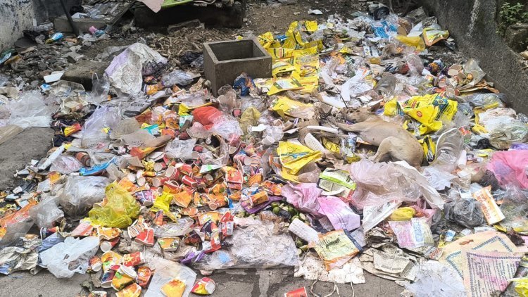 પહેલા ખાડાગઢ અને હવે બન્યું જૂનાગઢ કચરાગઢ!