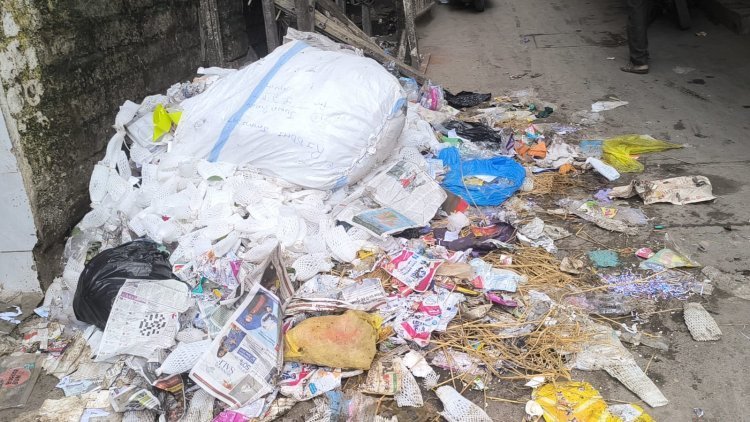 જયાં જયાં નજર મારી ઠરે ત્યાં સર્વત્ર કચરો નજરે પડે !