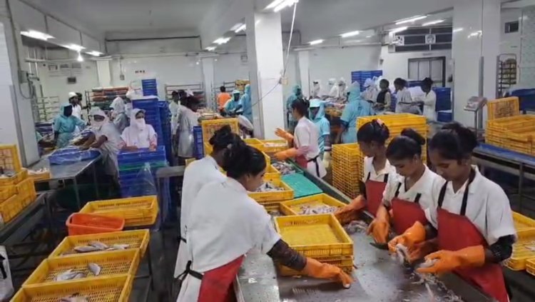 અમેરિકાએ લાગુ કરેલા 50 % ટેરીફથી ગુજરાતના 18 લાખ સહિત દેશભરના 3 કરોડ માછીમારો અને મત્સ્યોદ્યોગને મરણતોલ ફટકો