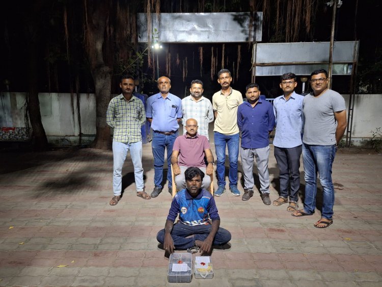 દ્વારકામાં ગાંજાનો વેપલો કરતો ભંગાર વિણનાર શખ્સ ઝબ્બે, ૬૩૬ ગ્રામ કબ્જે