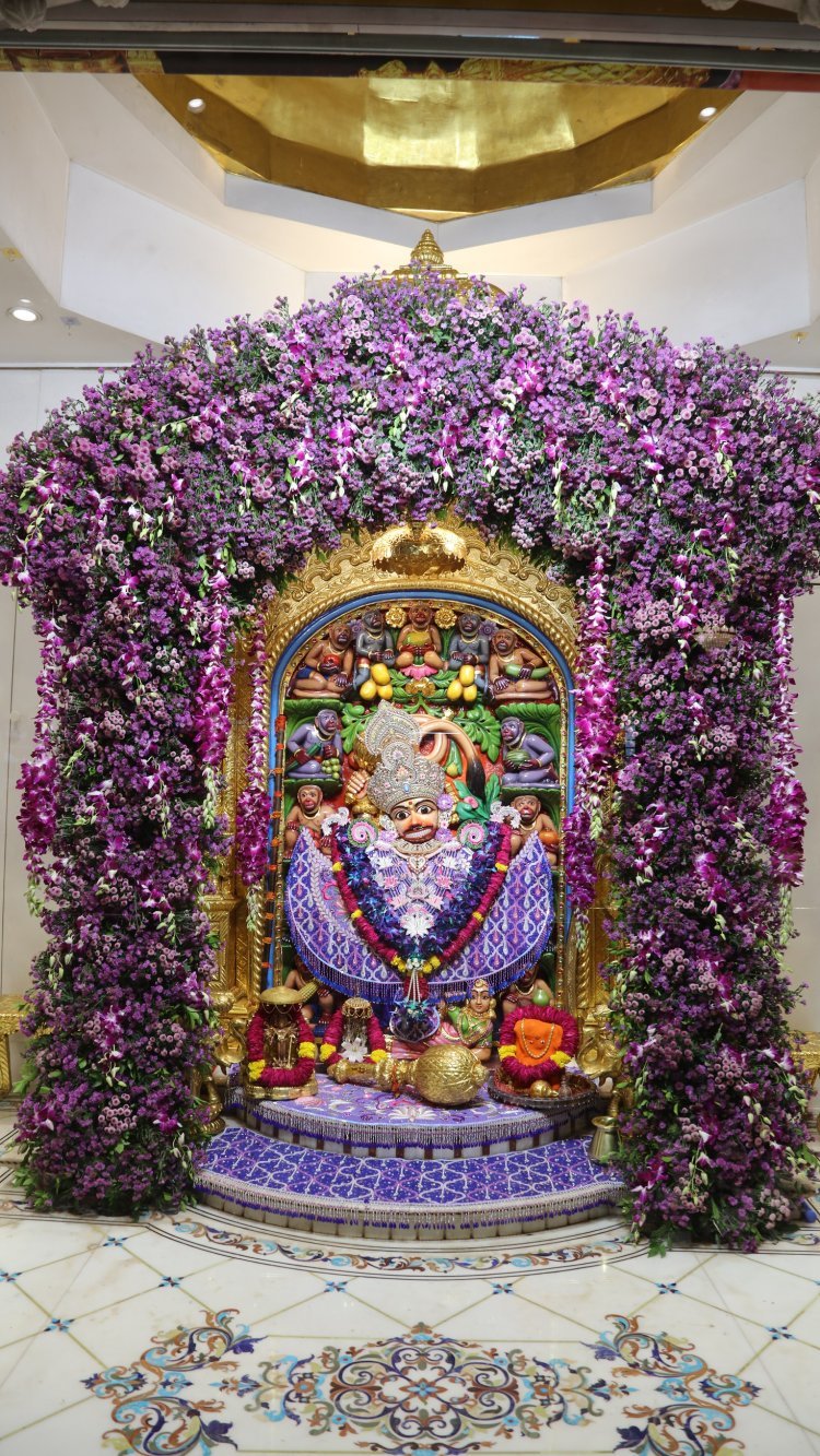 શ્રી કષ્ટભંજનદેવ હનુમાનજીને ૨૦૦ કિલો સેવંતીના ફુલોનો શણગાર કરાયો