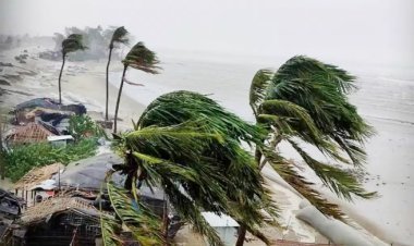 મોન્થા વાવાઝોડાએ આંધ્રપ્રદેશ, ઓરીસ્સામાં વિનાશ વેર્યો