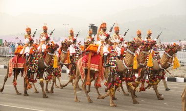 એકતા નગર ખાતે યોજાનાર એકતા પરેડમાં જોધપુરથી બાવન ઊંટ સાથે આવેલી બીએસએફની બે ટુકડી એકતા પરેડમાં ભાગ લેશે