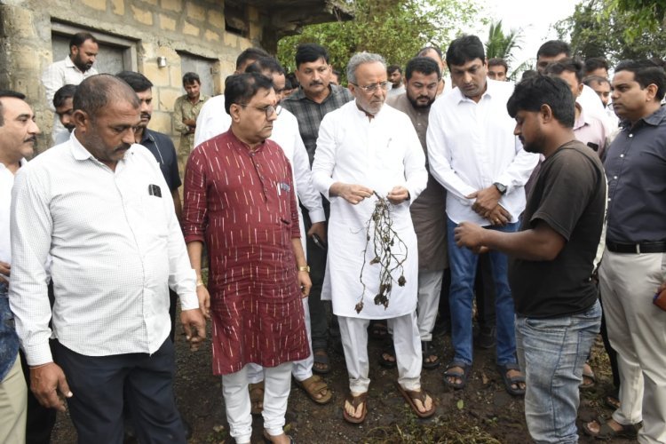 કમોસમી વરસાદગ્રસ્ત જુનાગઢ જિલ્લાની મુલાકાતે રાજ્ય સરકારના મંત્રીઓ: ખેતરોમાં જઈને ખેડૂતોને રૂબરૂ મળ્યા