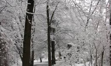 ૪ રાજ્યોમાં હવામાન વિભાગે શીત લહેરની ચેતવણી આપી