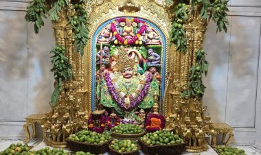 સાળંગપુર હનુમાનજી મંદિરે ૨૦૦ કિલો જામફળનો અન્નકૂટ ધરાવાયો