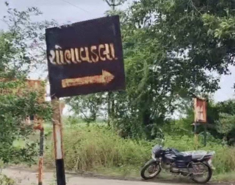 વિસાવદર તાલુકાના શોભાવડલા ગામે સગીરે ભાઈ અને ગર્ભવતી ભાભીને મોતને ઘાટ ઉતારી લાશ દાટી દીધી