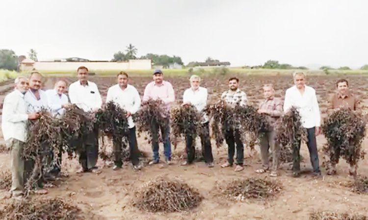 કમોસમી વરસાદને કારણે રાજયમાં કૃષી પાકોનું રૂા.પ૦૦૦ કરોડથી વધુનુ નુકશાન 