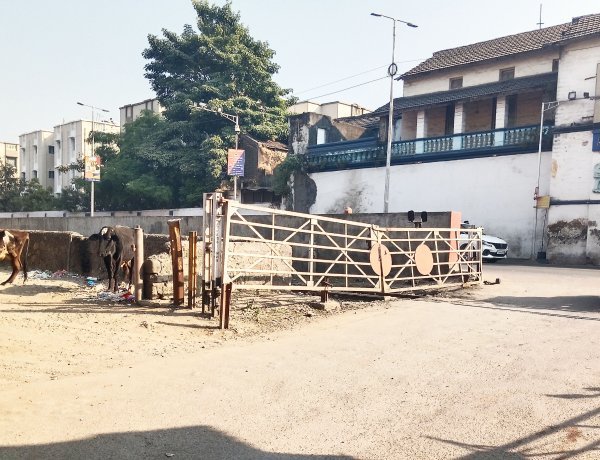 જૂનાગઢ શહેરની રેલ્વે ફાટકની દાયકાઓ જૂની સમસ્યા હલ કરવા શકિતસિંહ ગોહીલની સંસદમાં અસરકારક રજુઆત