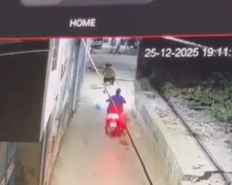 જૂનાગઢમાં સોનું ગીરવે મુકવાના વિવાદમાં બે શખ્સોનો દંપતિ પર જીવલેણ હુમલો