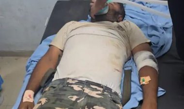 માસુમ બાળકનો ભોગ લેનાર સિંહણને પાંજરે પુરવાની કાર્યવાહી દરમ્યાન ટ્રાન્કવીલાઈઝર ગનનાં મીસફાયરમાં ઘાયલ થયેલા વનકર્મીનું મૃત્યું