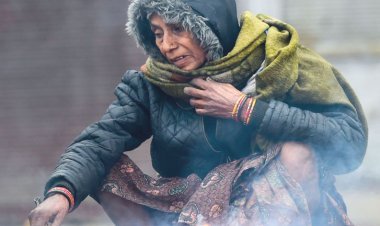 સોરઠ - સૌરાષ્ટ્રમાં હજુ બે દિવસ કાતિલ ઠંડી રહેશે