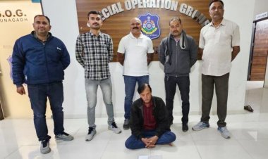 જૂનાગઢ એસઓજીએ રૂા. ૧.ર કરોડની કિંમતની સ્પર્મ વ્હેલ માછલીની ઉલટી સાથે પાલીતાણાનાં શખ્સને ઝડપી લીધો