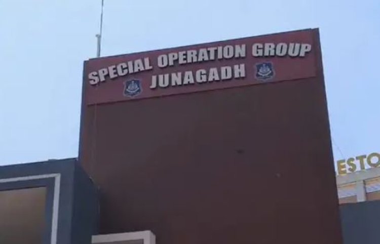 સાસણનાં નેશ વિસ્તારમાંથી ગાંજાનાં છોડનું વાવેતર કરનાર પશુપાલક પકડાયો