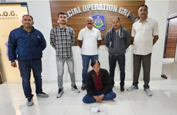 જૂનાગઢ એસઓજીએ રૂા. ૧.ર કરોડની કિંમતની સ્પર્મ વ્હેલ માછલીની ઉલટી સાથે પાલીતાણાનાં શખ્સને ઝડપી લીધો