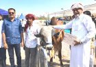 રાજકોટ ખાતે આયોજિત ઈન્ડિયન કેટલ શો ૨૦૨૬માં ગીર જાતિના પશુઓની અનોખી ઝલક જાેવા મળી