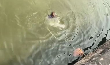 જૂનાગઢના વિલીંગ્ડન ડેમમાં આધેડનો આપઘાત