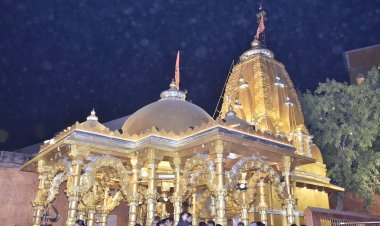 મહાશિવરાત્રી મેળો - ૨૦૨૬ : ગિરનાર દરવાજા અને ભરડાવાવથી ભવનાથ મંદિર  સુધીનો ૩.૧ કિલોમીટરનો માર્ગ શ્રદ્ધાળુઓ માટે ભારે આકર્ષણનું કેન્દ્ર બનશે