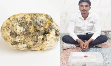 રૂા. ૧.૮ર કરોડની કિંમતની વ્હેલ માછલીની ઉલટી (એમ્બરગ્રીસ) સાથે બિલખાનો શખ્સ ઝડપાયો