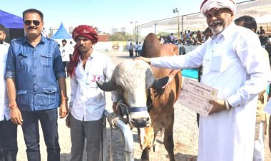 રાજકોટ ખાતે આયોજિત ઈન્ડિયન કેટલ શો ૨૦૨૬માં ગીર જાતિના પશુઓની અનોખી ઝલક જાેવા મળી