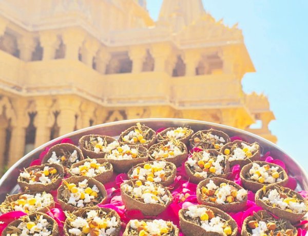 સોમનાથમાં વૈદિક પરંપરા સાથે પર્યાવરણનો સંદેશ આપતું અનોખું હોલિકા દહન થશે