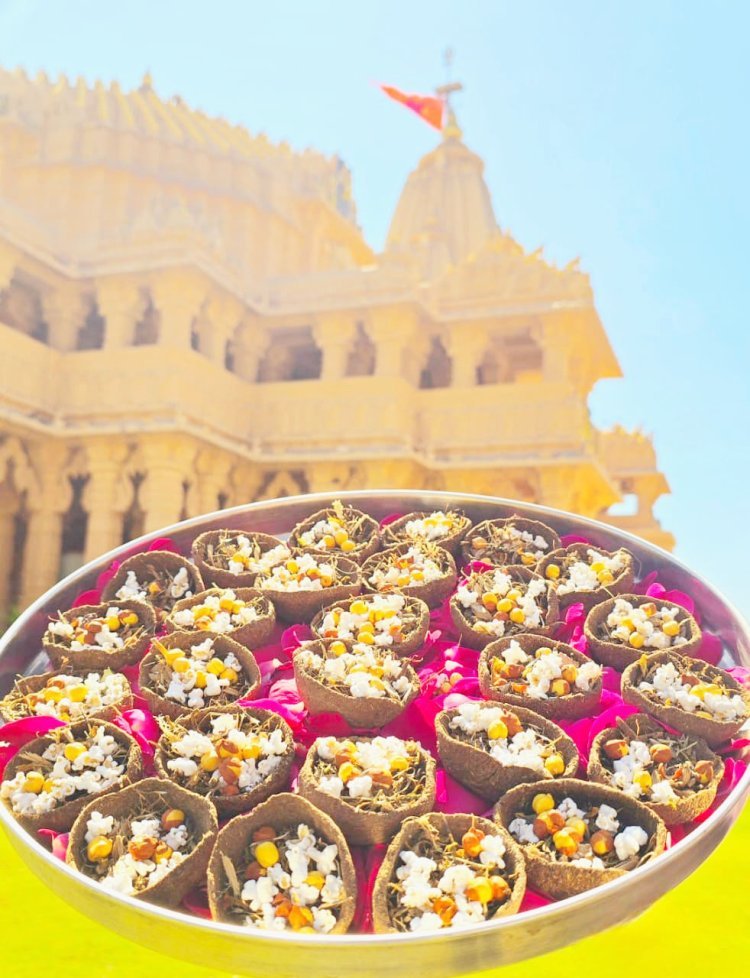 સોમનાથમાં વૈદિક પરંપરા સાથે પર્યાવરણનો સંદેશ આપતું અનોખું હોલિકા દહન થશે