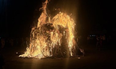 જૂનાગઢમાં આસ્થાભેર હુતાસણી પર્વની ઉજવણી