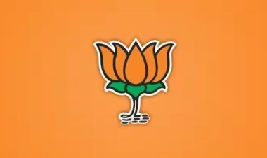 ભાજપના અચ્છે દિન : ર૦ર૪-રપમાં સૌથી વધુ રૂા.૬૭૬૯ કરોડની આવક થઈ