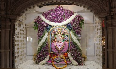 શ્રી કષ્ટભંજનદેવ દાદાને ઓકિર્ડ અને સેવંતીના પુષ્પોનો દિવ્ય શણગાર કરાયો