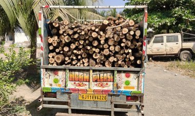 નવાબંદર ગામેથી ગેરકાયદેસર ખેરના લાકડાનો જથ્થો ઝડપાયો