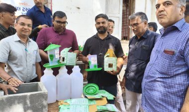 જૂનાગઢની સેવાભાવી સંસ્થા ગિરનારી ગ્રુપ દ્વારા પશુ-પંખીઓની અનોખી સેવા