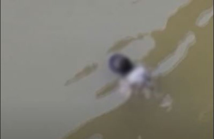 જૂનાગઢના વંથલી-સોમનાથ હાઈવે નજીક ઓઝત નદીના પુલ પાસે યુવકની તરતી લાશ મળી