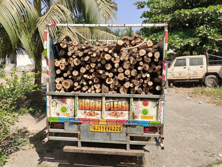 નવાબંદર ગામેથી ગેરકાયદેસર ખેરના લાકડાનો જથ્થો ઝડપાયો