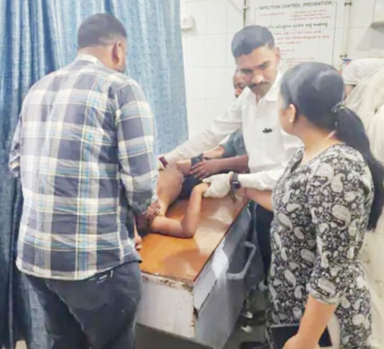 ગીરગઢડા તાલુકાના શાણાવાકિયા ગામની સીમમાં કેસર કેરીના બગીચામાં ખાખડી વીણતી આઠ વર્ષની દીકરીને માતાની નજર સામે ઉપાડી જઈ સિંહણે હુમલો કરી નાસવા લાગતા માતાએ છુટ્ટા પથ્થર મારી સિંહણના મુખમાંથી દીકરીને છોડાવી