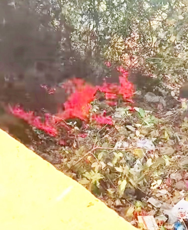 ભવનાથ જવાના રસ્તા પર અશોક શિલાલેખ પાસે દર્વેશ્વર મહાદેવ મંદિર નજીક આગ લાગી