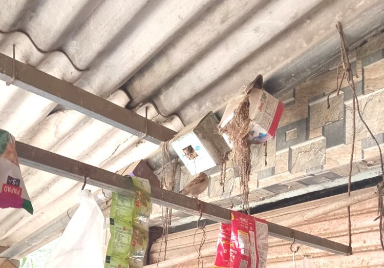 વેરાવળ તાલુકાનાં દેદા ગામનાં અશ્વિનભાઈ બારડનો અનોખો ચકલી પ્રેમ