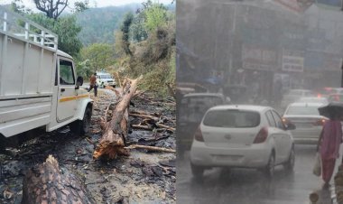 જૂનાગઢ કોર્પોરેશન દ્વારા પ્રિ-મોન્સુન કામગીરી કયારે કરાશે?