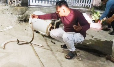 ભાણવડમાં વોશિંગ મશીનમાંથી  કોબ્રા નીકળ્યો : દિલધડક રેસ્ક્યુ કરાયું