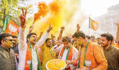 ગુજરાતમાં ભાજપનો અજેય ૧૫ મહાનગરપાલીકા અને ૩૪ જીલ્લા પંચાયતોમાં ભાજપનો ભગવો લહેરાયો