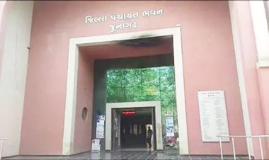 જૂનાગઢ જીલ્લા પંચાયતમાં ભાજપનું શાસન યથાવત : ૩૦માંથી ર૩ બેઠકો ભાજપને, આપને ૭