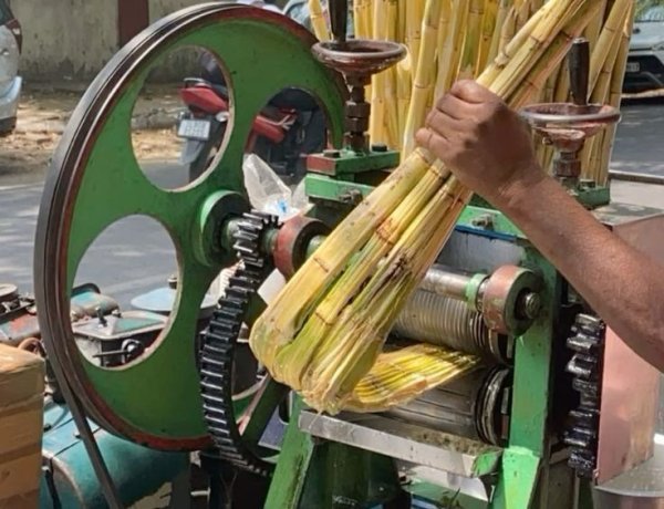 જૂનાગઢમાં ઠંડા પીણા, આઈસ્ક્રીમ, ગોલા, કુલ્ફી, શેરડીનાં રસના વેચાણ કેન્દ્રો શરૂ થયા