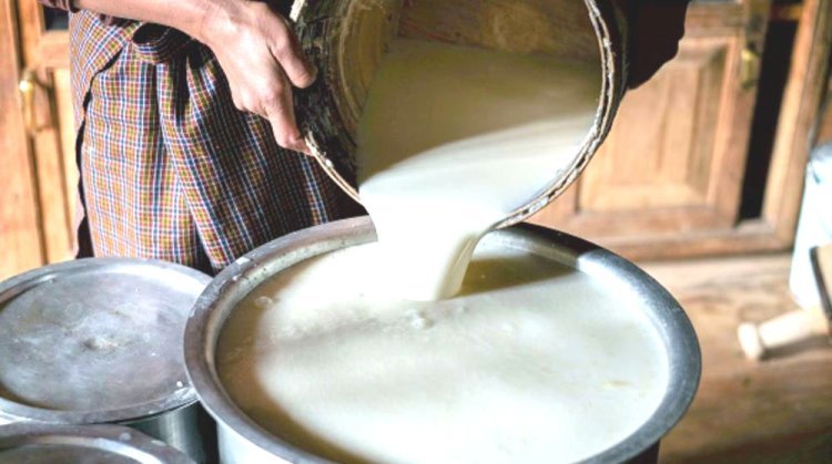 ભેળસેળવાળુ દુધ આરોગવું એટલે કેન્સરને સીધું જ આમંત્રણ જૂનાગઢ જીલ્લામાં કેન્સરનાં દર્દીઓમાં વધારો - નકલી દુધ કારણભુત ?