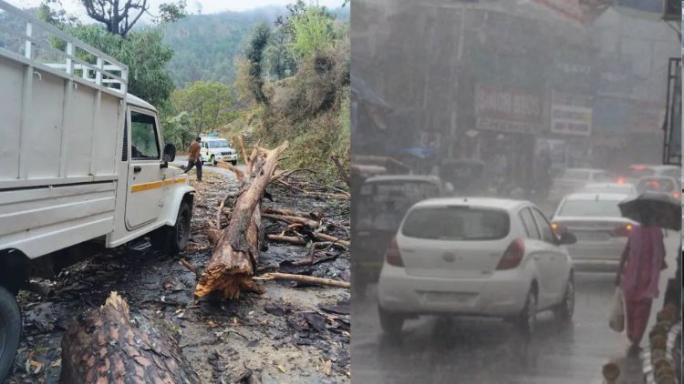 જૂનાગઢ કોર્પોરેશન દ્વારા પ્રિ-મોન્સુન કામગીરી કયારે કરાશે?