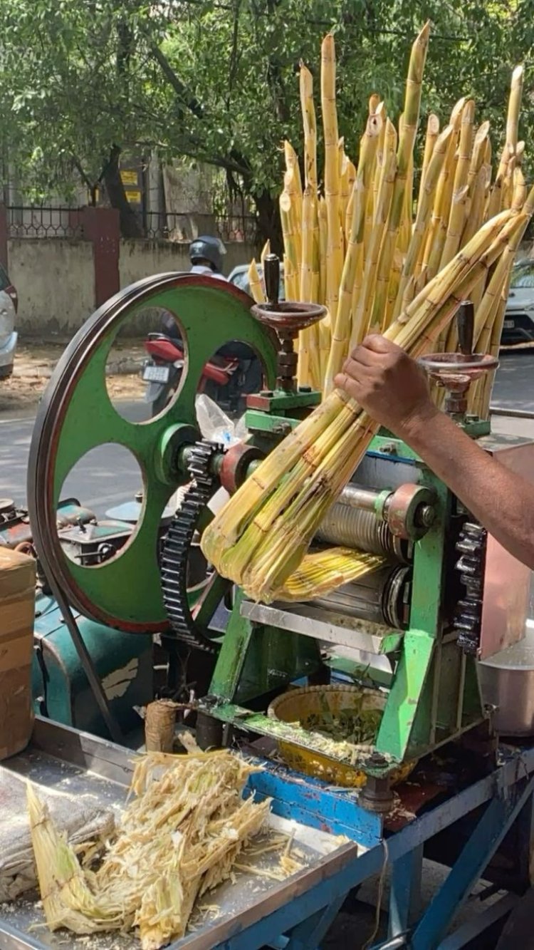 જૂનાગઢમાં ઠંડા પીણા, આઈસ્ક્રીમ, ગોલા, કુલ્ફી, શેરડીનાં રસના વેચાણ કેન્દ્રો શરૂ થયા