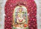 અમાસ-શનિવાર નિમિત્તે શ્રી કષ્ટભંજનદેવ હનુમાનજી દાદાને ફૂલોનો દિવ્ય શણગાર કરી ચાંદીનો મુગટ અને વાઘા ધરાવવામાં આવ્યા