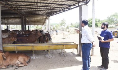 કમિશ્નર પ્રભવ જોષી દ્વારા નિર્માણધીન અત્યાધુનિક ગૌશાળા તથા એનિમલ બર્થ કંટ્રોલ સેન્ટરની મુલાકાત