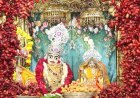 જૂનાગઢનાં શ્રી સ્વામિનારાયણ મુખ્ય મંદિર ખાતે પુનમ નિમિત્તે ભાવિકો ઉમટી પડયા : વિશેષ પુજાનાં કાર્યક્રમો યોજાયા